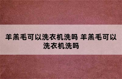 羊羔毛可以洗衣机洗吗 羊羔毛可以洗衣机洗吗